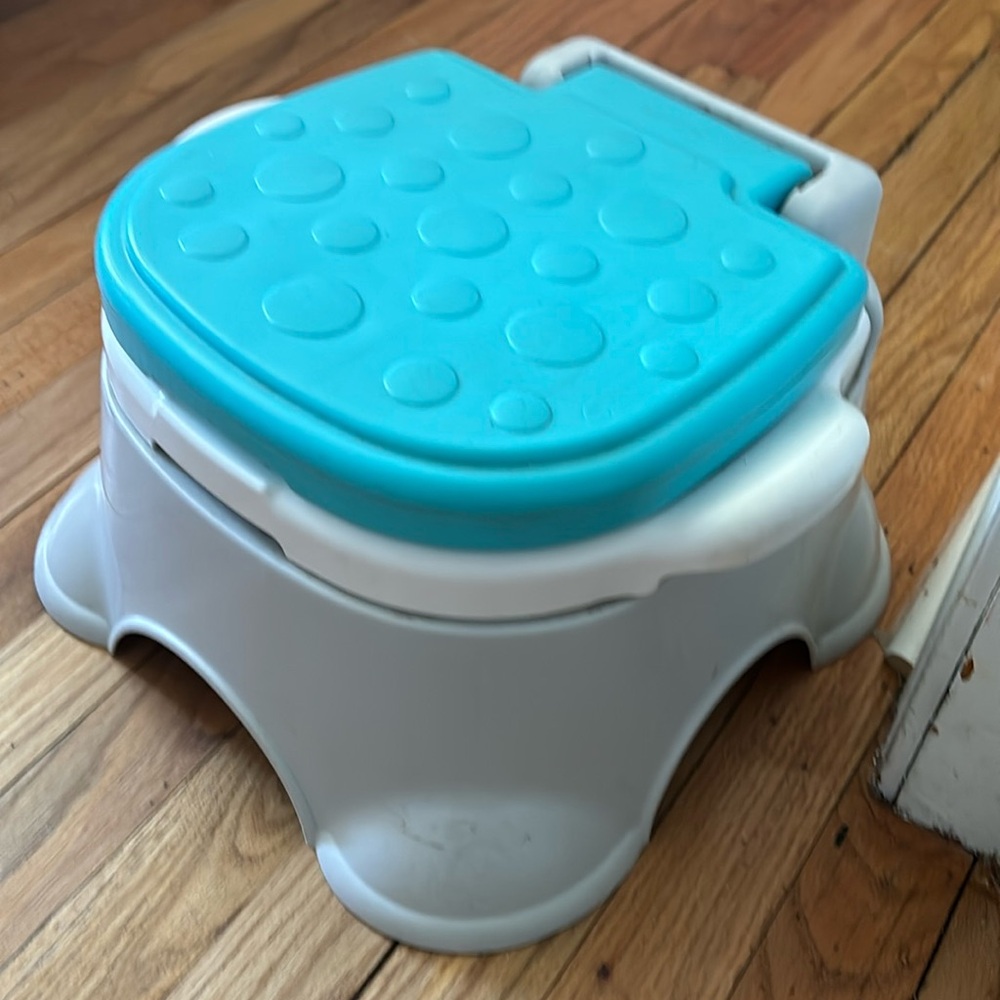 Training toilet